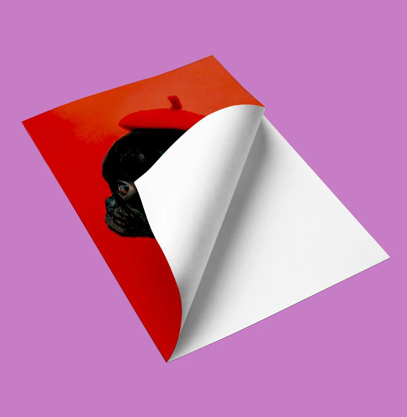 Large format Adhesive Custom Vinyl